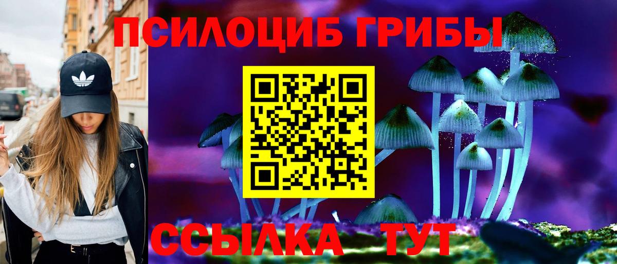 Галлюциногенные грибы Psilocybe  Псилоцибиновые грибы прущие грибы  Омск  как найти   Вход с VPN 